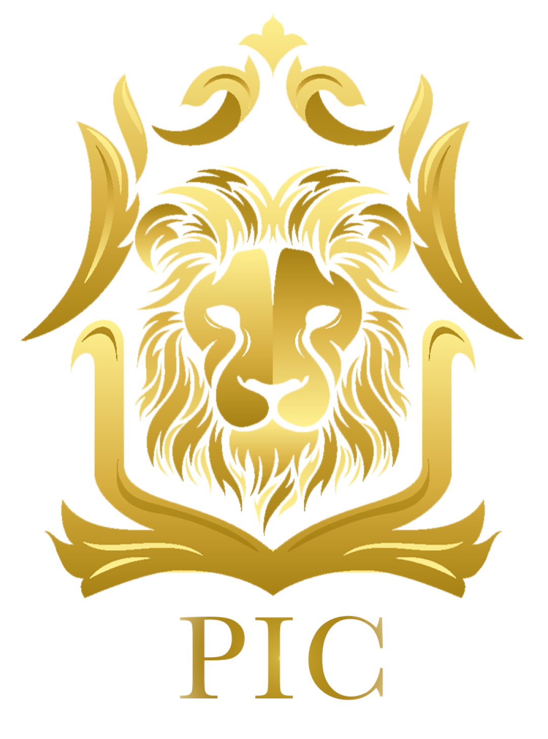 P.I.C. Performance Improvement Consulting logo